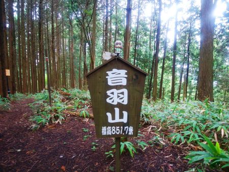 音羽三山は全て雪村あおいちゃんを撮影することにした。立てるの大変だった