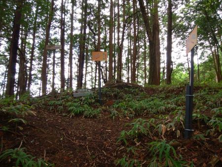 分岐っぽいけど右側のピークへ行く。道標があるのでわかるけどね