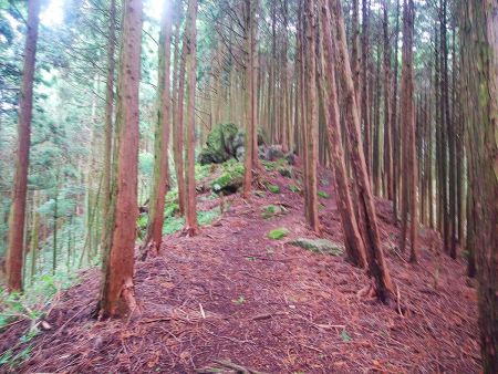 経ヶ塚山から一旦下って熊ヶ岳への登りがはじまる。アップダウンがあるけどそこまで疲れはしなかった