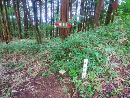 858.8mの三角点があった。もう休憩する場所がなさそうなのでここで昼食にする