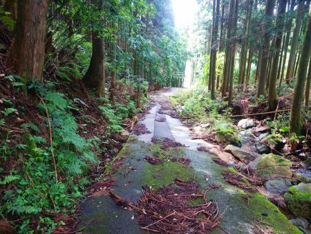 かなり滑るのでゆっくり林道を歩いていく