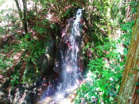 これが地図上にもあった不動延命の滝かな？入ると涼しそうだけどね