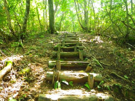 最初は階段を登っていくんだけど、これは最初だけなんだよね