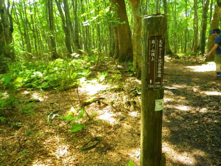 扇ノ山頂上まで1.9kmとここまでかなり早く着いた