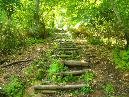 この階段からペースダウンして登っていく。階段はペースが乱されて息切れしやすいんだよね