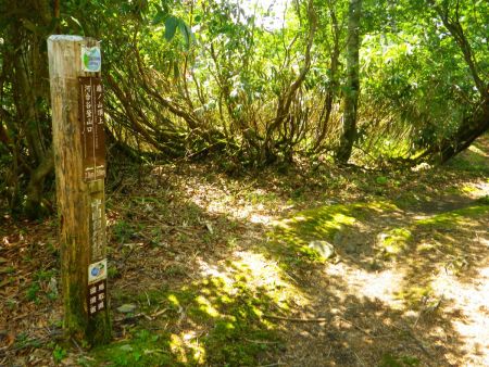 扇ノ山頂上まで0.9km地点にきた