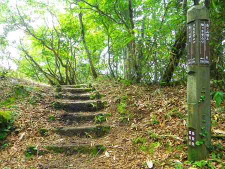 登りはそこまでしんどい感じでもなかった。扇ノ山頂上まであと0.4kmとすぐだね