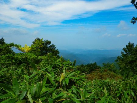 展望台から景色を望むけど霞んでいてよくわからないね。本当は日本海とか見えてるんだろうか！？