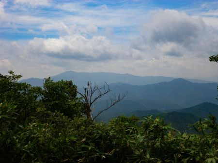 扇ノ山頂上からのちょっとした展望。左側の高い山は氷ノ山かな！？