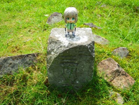 扇ノ山の山頂三角点と雪村あおいちゃんを撮影しておいた