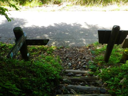 河合谷登山口まで下ってきた。かなりハイペースで歩いてきたので早かった