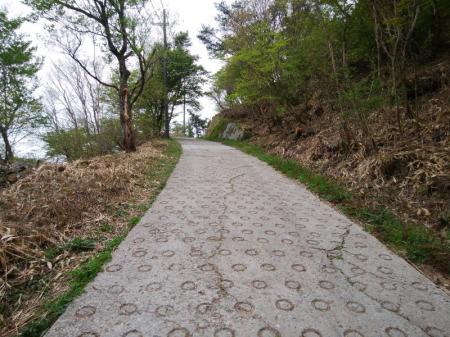 この舗装道の丸いところって急坂を意味してるんよね。最後の最後で舗装道というのもなんだかなあって感じだ