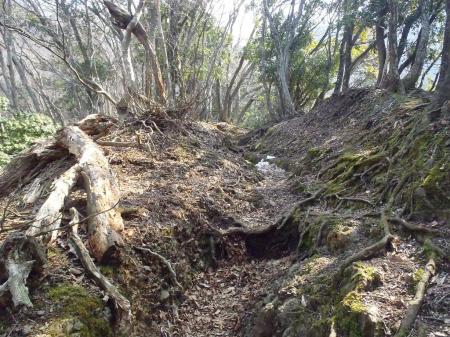 正規ルートで山頂を目指す