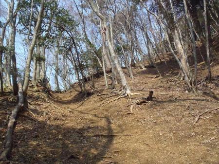 天気も道もいい！