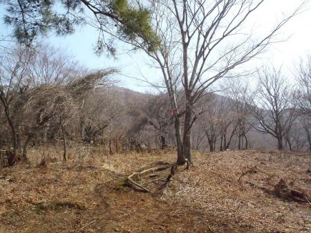 ピークがみえてきた