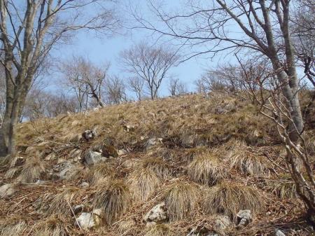 どろどろの道は嫌なのでちょい直登することにした