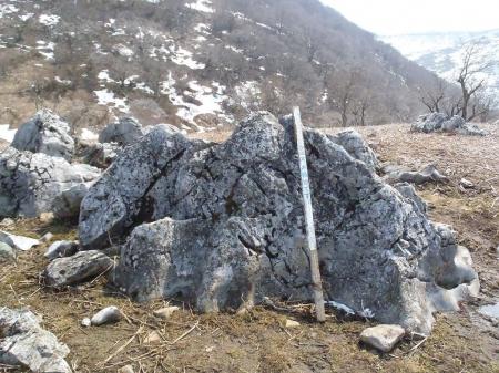 お猿岩らしいが、どうみたら猿！？