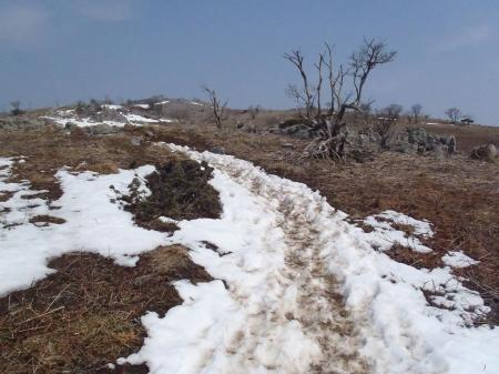この付近からもう別世界にきた感じだった