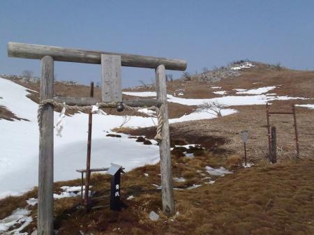 鳥居がしてありお虎が池というらしい