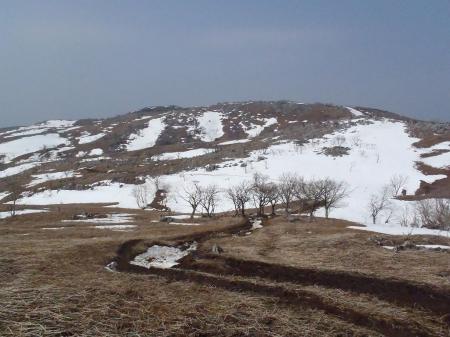 残雪がいい感じ