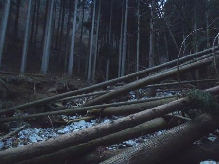 最後のほうでかなり荒れていた。もはやあれこれ考えながら無理矢理進むといった感じ