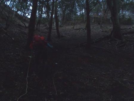 あのコルが汗拭峠で結構急登だった