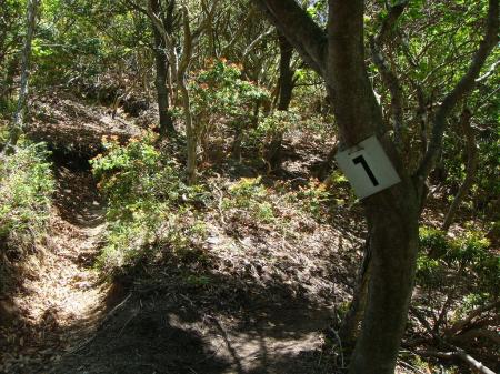 1とかプレートがあったが途中で5以上を見失った