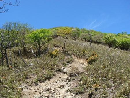 重ね岩から笹地帯までは急登が続く