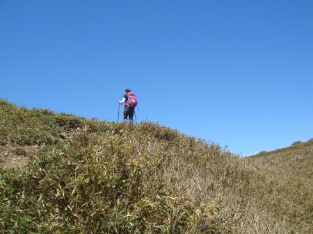 笹地帯にでたこの付近から稜線歩きで楽になる