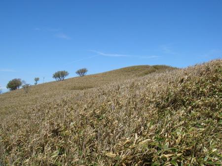 青空と竜ヶ岳を振り返る