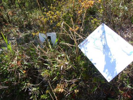 3までのプレートしかみつからなかったが、下山時に4のプレート発見