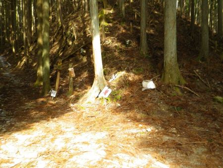 三津の登山口からスタート。ここに車であがってくるのにも凍結してて苦労した