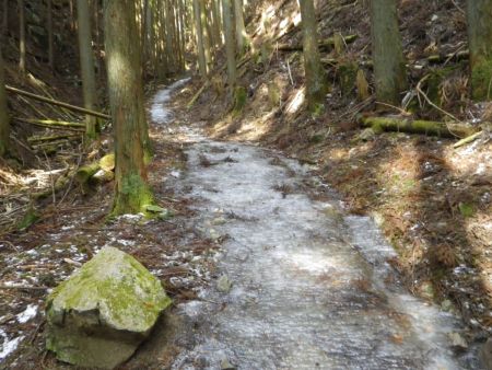このパリパリに凍った氷の道をどういくかだけど、アイゼンもかまないくらいなので端っこの凍ってないところを登っていった。下りが心配だわ