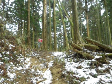 そんなに距離は登ってないんだけど、なんとか稜線まで登ってこれた