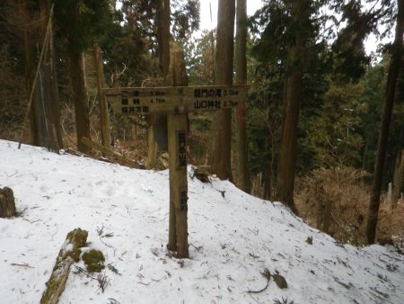 龍門岳山頂と書かれた道標があって滝のほうからだともう少し距離があるのね