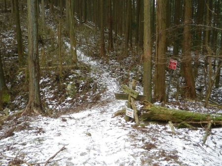 三津峠まで戻ってきた。あとはあの氷の道をどう下るかが問題で、アイゼンでもちゃんとかみそうにない