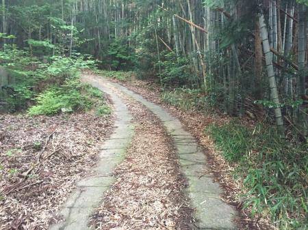 パラグライダー場まで舗装道が続く