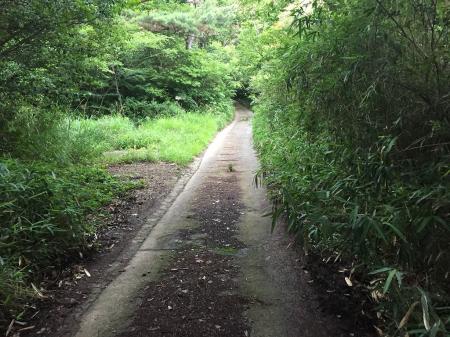 先をみるだけでゾッとしたところがいくつかあった