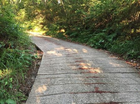 舗装道のこのギザギザが実は下りでストッパーになることを知る