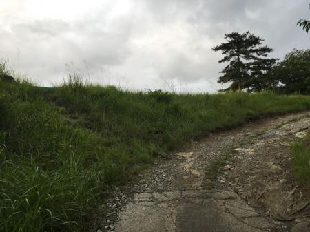 舗装道の終わりで左側がパラグライダー場