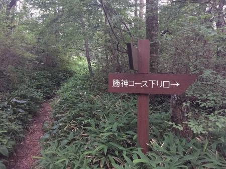 中央コースとの分岐。この分岐までくると山頂直下