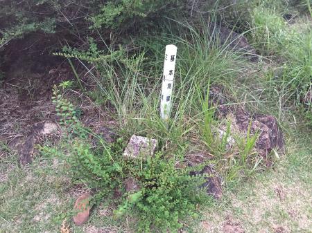 山頂看板のさらに向こう側に龍門山の三角点がある