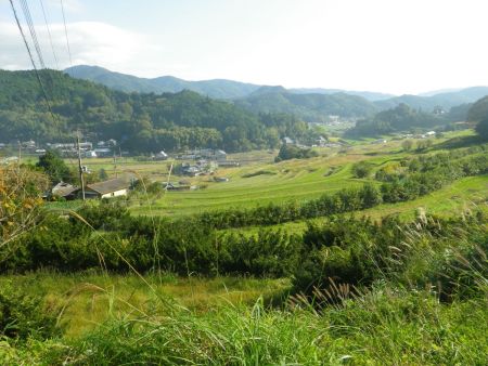 これが長谷の棚田かな！？北摂の山々も見えてるけど何の山が見えてるかわからない