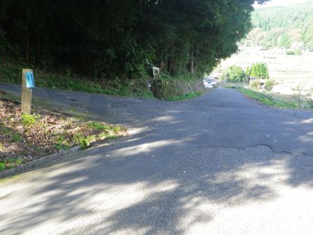 ここで左の坂道を登っていく。道標が反対になってる