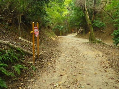 才の神峠に到着。分岐がたくさんあるんだけど方角的にここを右になる