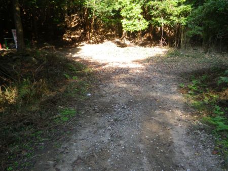 ここで分岐。方角的には左なんだけど「通り抜けできません」という看板がある。さてどうするか！？