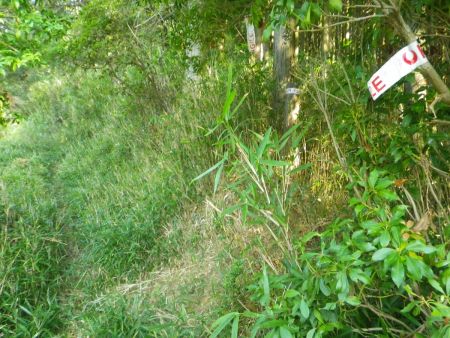 草むらの道に出ると写真ではわかりにくいけど右側にテープが巻いてあって、わずかな踏み跡のようなものがある。ここを右に入る。直進すると違うところへ行ってしまう