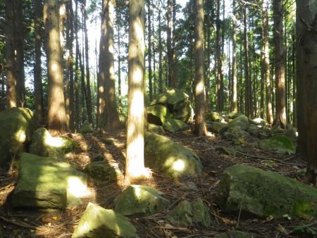 ピークまで登ってきた。この付近が滝王山の山頂なはずだけど何の看板もない