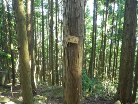 やっと見つけた滝王山(570m)のプレートを発見。プレートはこれ以外に見つからなかった