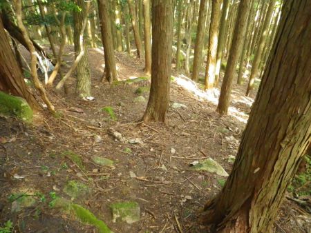 さて、滝王山で休憩したのでこのまま尾根沿いに進んでいく。地図を見るとこのまま下って標高１０ｍほど登ったところに三角点があるはず